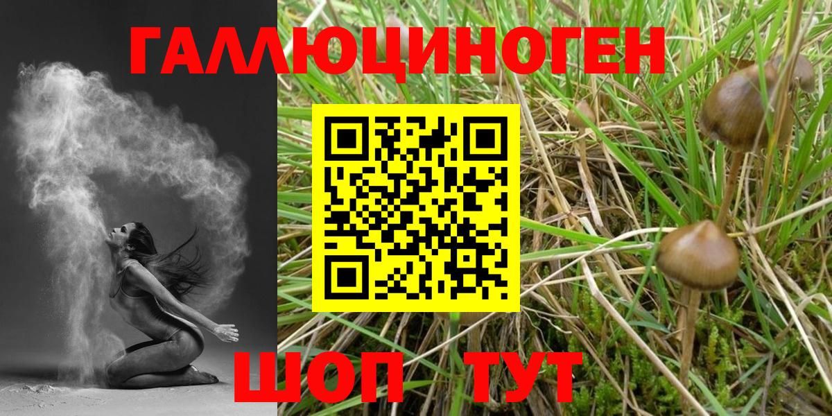 Псилоцибиновые грибы мухоморы Строитель
